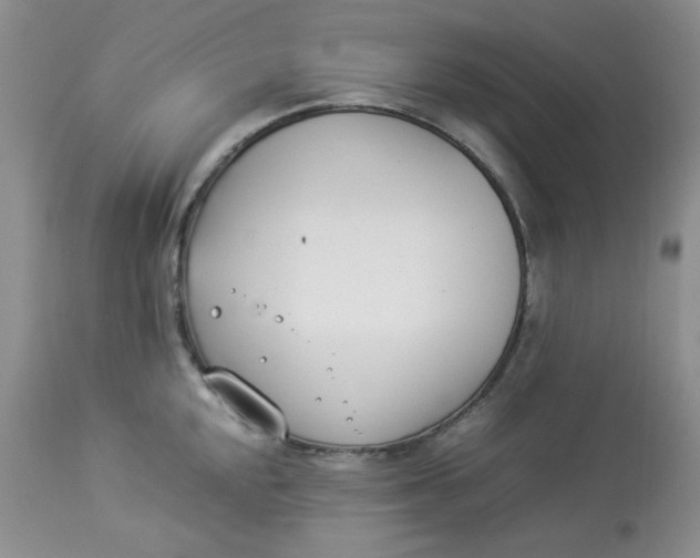 X0000112871048200909111528