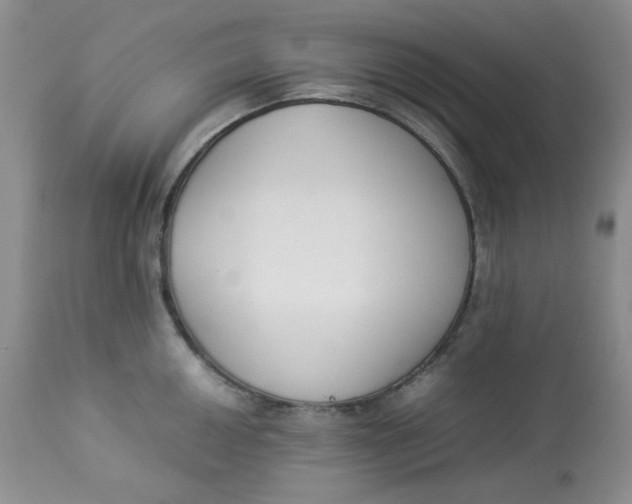 X0000112871050200909111528