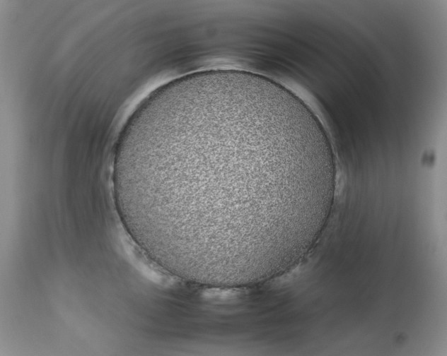 X0000112871051200909111528