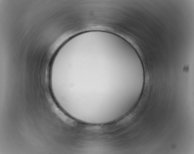 X0000112871054200909111528