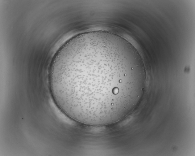 X0000112871055200909111528