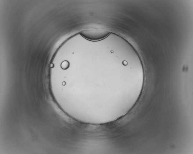 X0000112871056200909111528