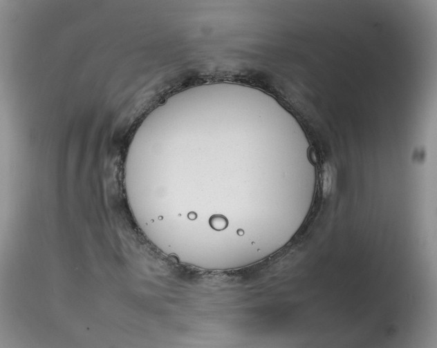 X0000112871059200909111527