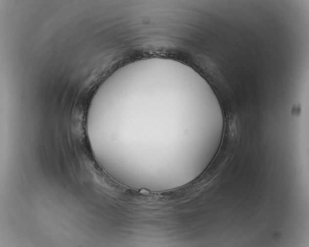 X0000112871060200909111527