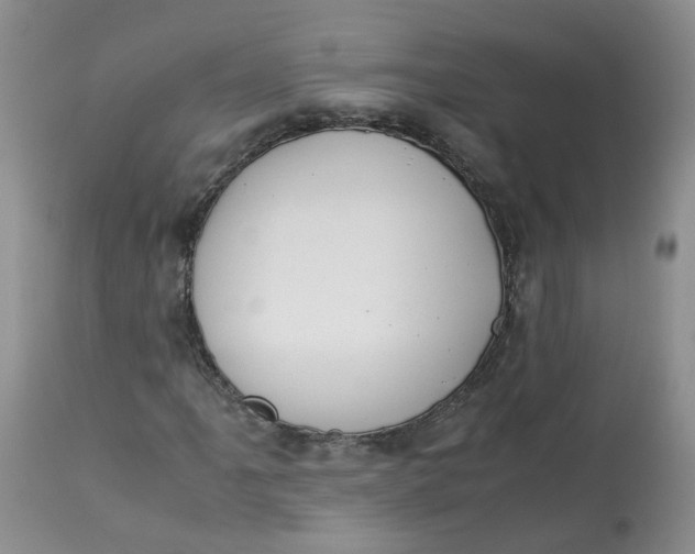 X0000112871061200909111527