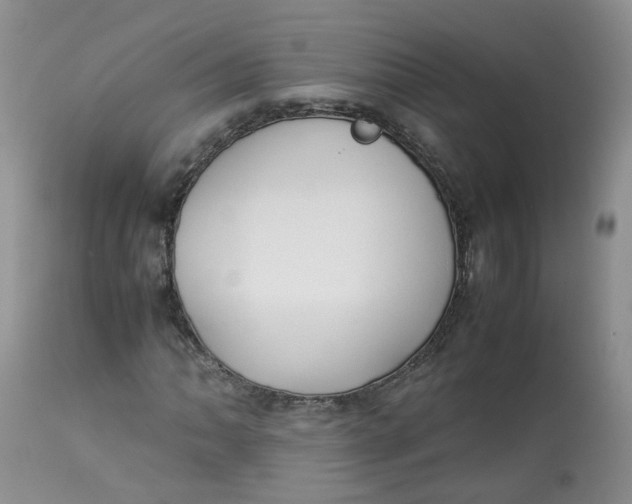 X0000112871062200909111527