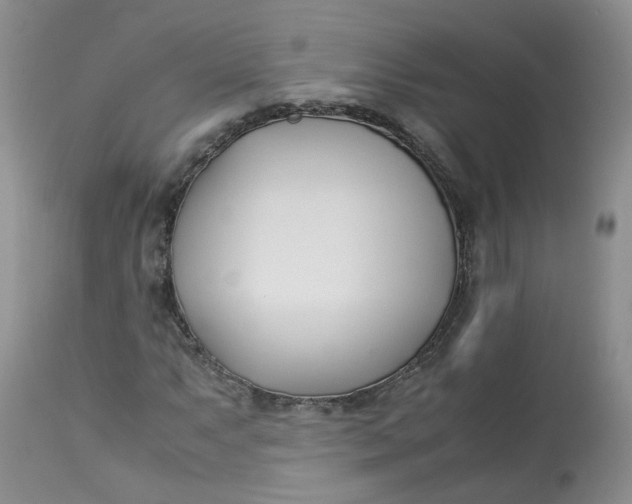 X0000112871063200909111527