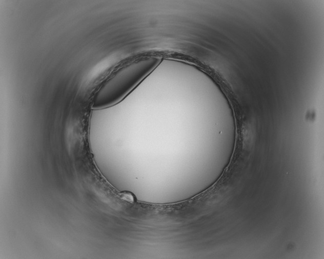 X0000112871064200909111527