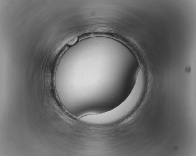 X0000112871065200909111527