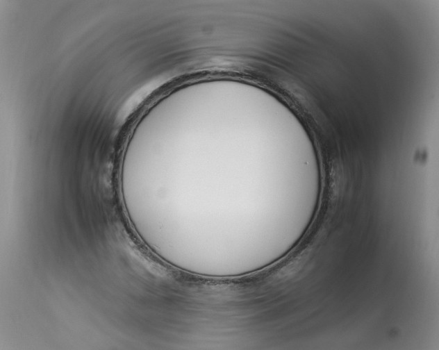 X0000112871066200909111527