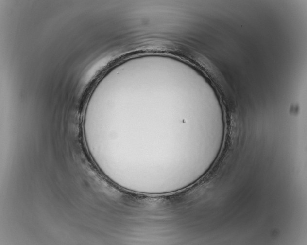 X0000112871067200909111527