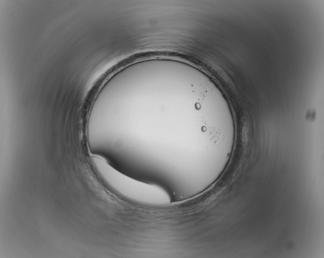 X0000112871069200909111527