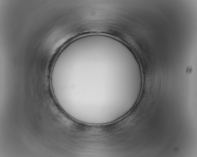 X0000112871071200909111527