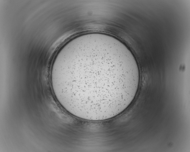 X0000112871074200909111527