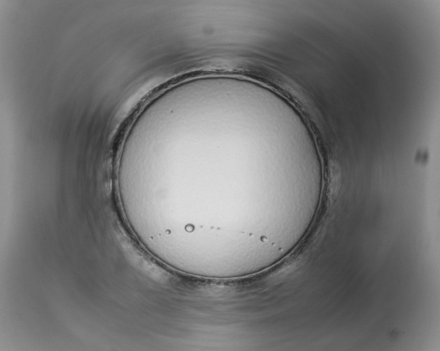 X0000112871075200909111527