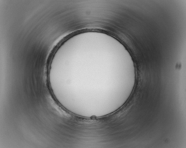 X0000112871076200909111527