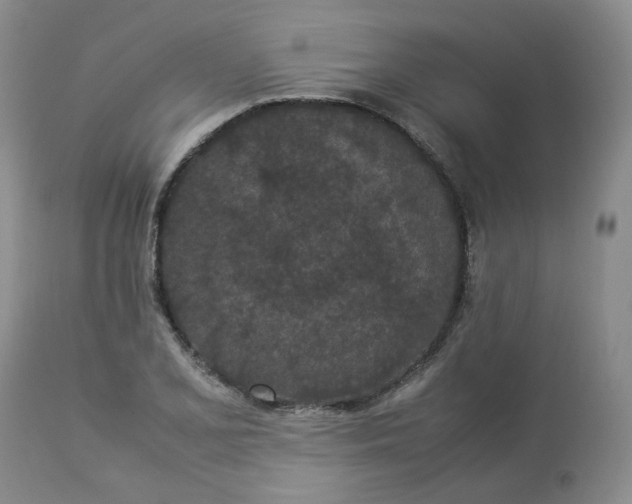 X0000112871077200909111527