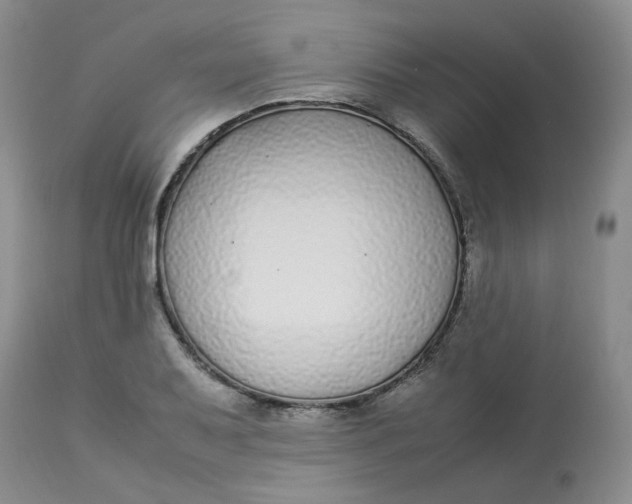 X0000112871079200909111527