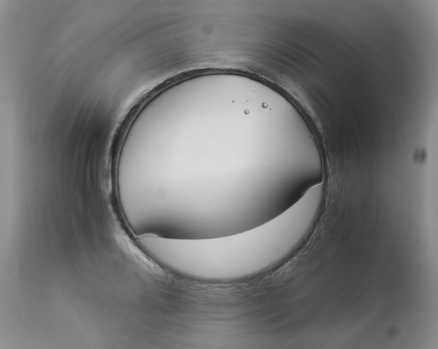 X0000112871080200909111527