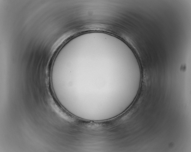 X0000112871082200909111527