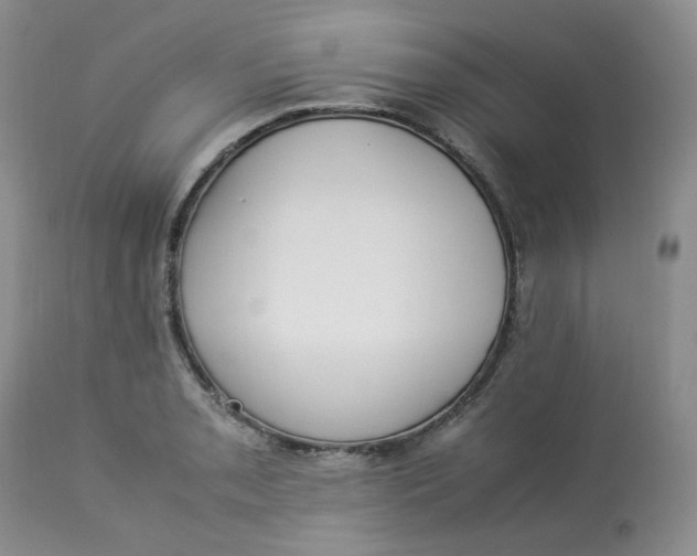 X0000112871085200909111527