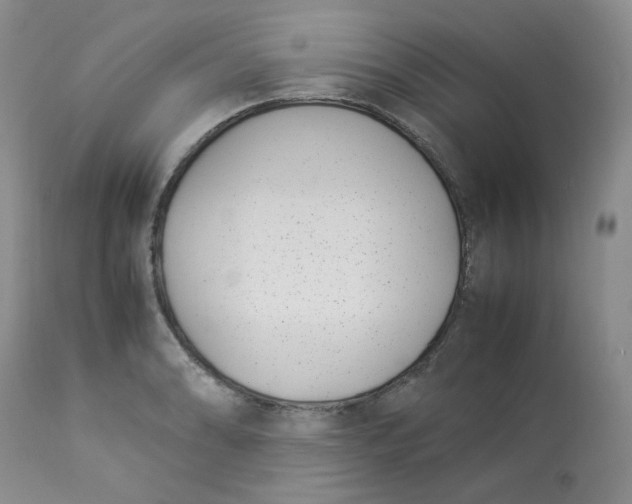 X0000112871086200909111527