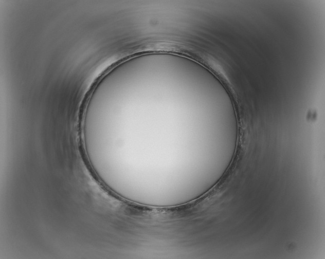 X0000112871087200909111527