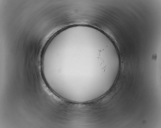 X0000112871088200909111527