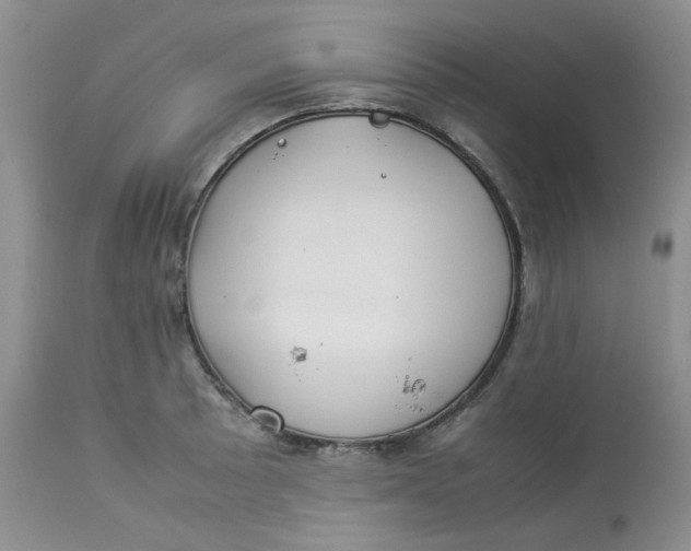 X0000112871089200909111527