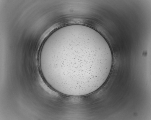 X0000112871090200909111527