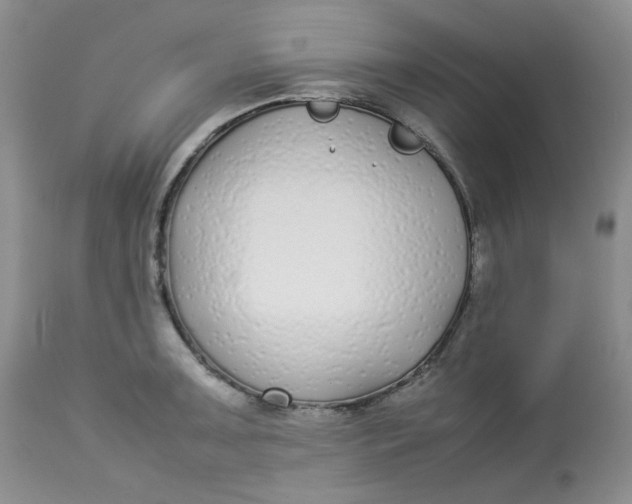 X0000112871091200909111527