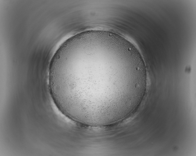 X0000112871095200909111527