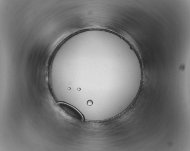 X0000112871096200909111527