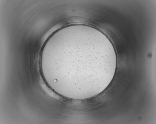 X0000112871098200909111527