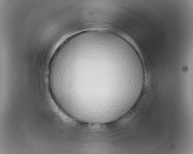 X0000112871099200909111527