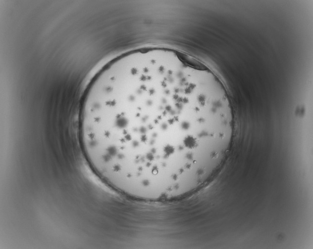 X0000112871100200909111527