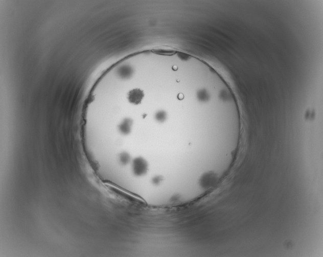 X0000112871104200909111527