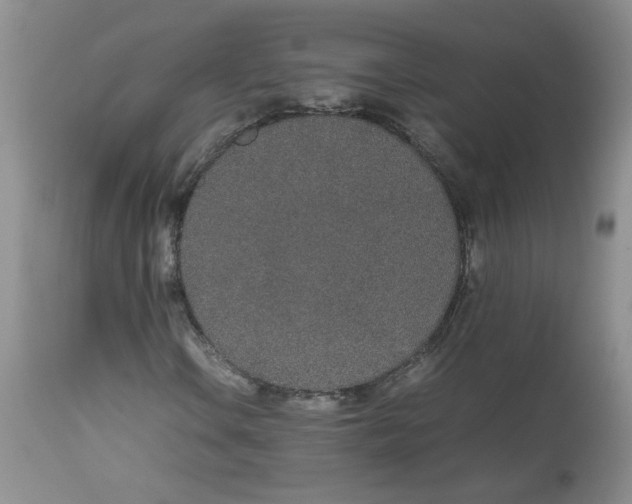 X0000112871106200909111526