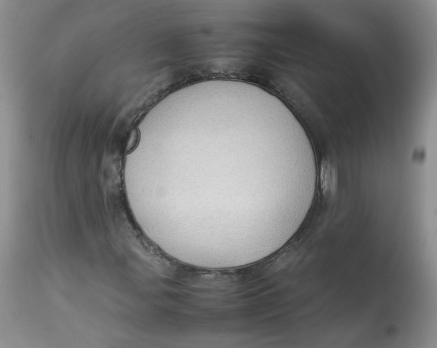 X0000112871107200909111526