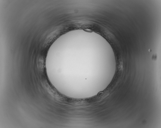 X0000112871108200909111526