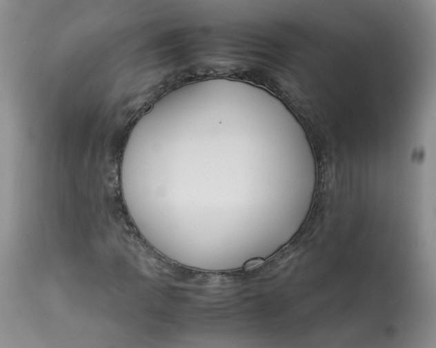 X0000112871109200909111526