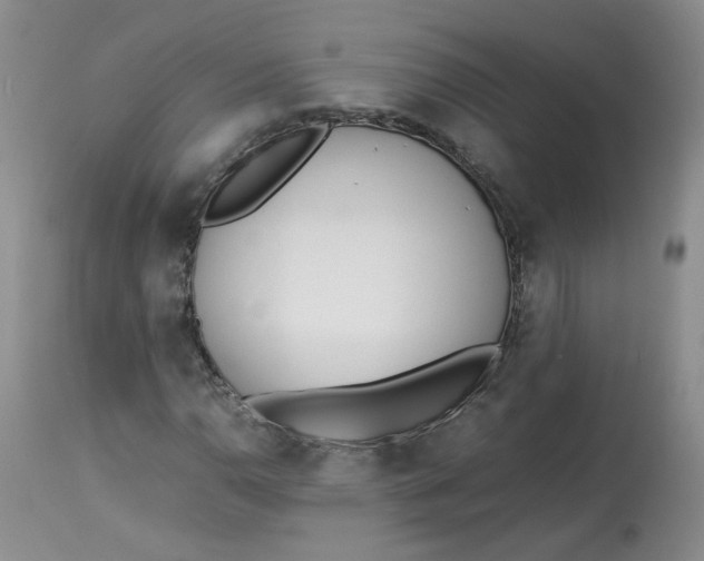 X0000112871110200909111526