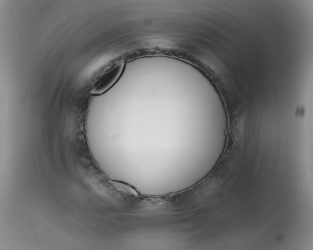 X0000112871112200909111526