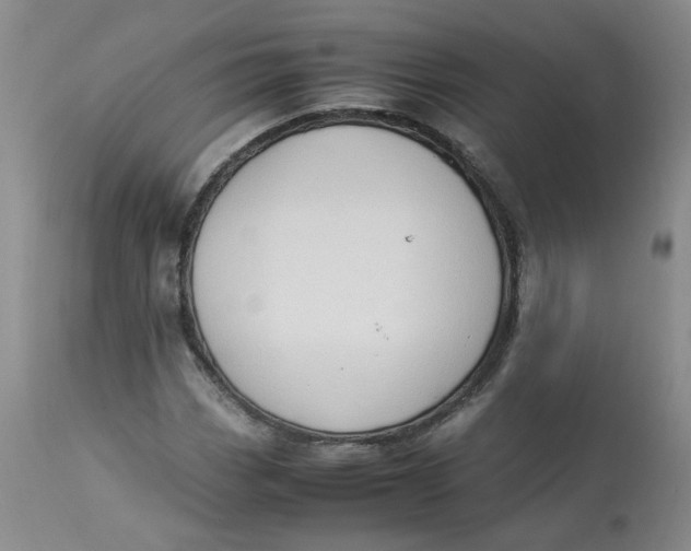 X0000112871113200909111526