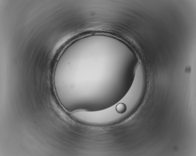 X0000112871114200909111526