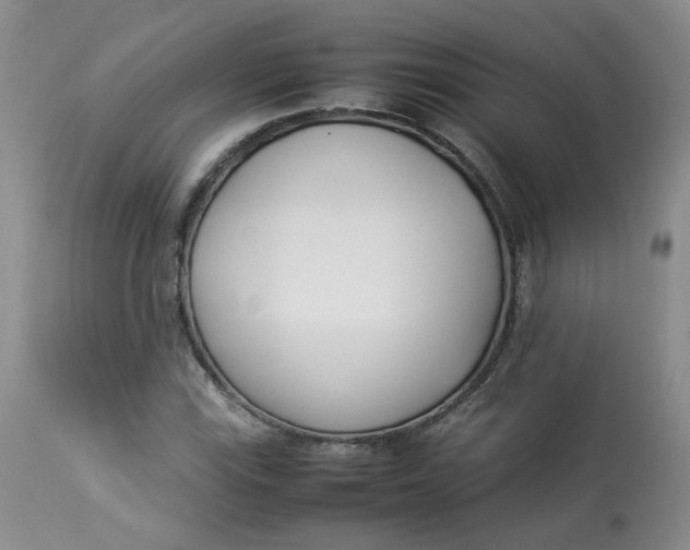 X0000112871115200909111526