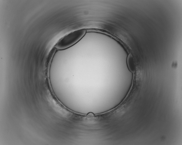 X0000112871116200909111526