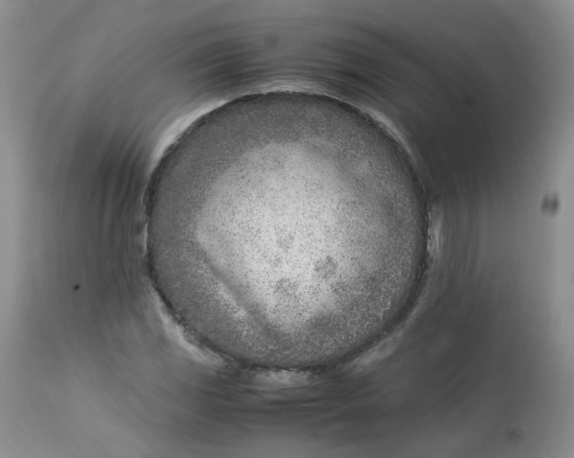 X0000112871117200909111526