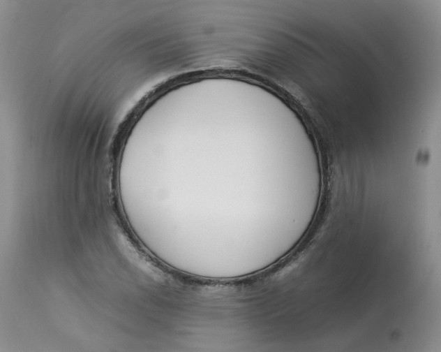 X0000112871118200909111526