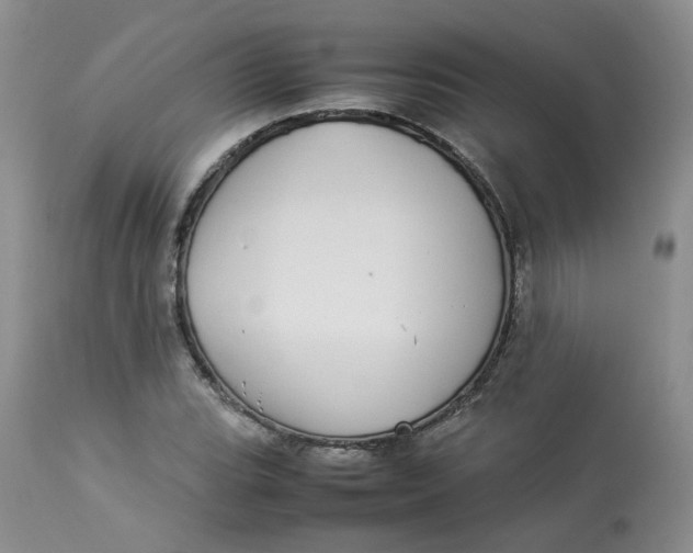 X0000112871119200909111526